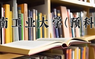 2025年湖南工业大学(预科班)在重庆计划招生人数（附学费及专业录取分)
