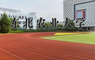 2025年东北农业大学在新疆计划招生人数（附学费及专业录取分)
