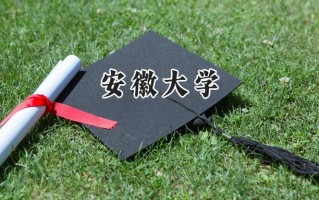 安徽大学2024在上海录取分数线是多少？最低525分/最高545分