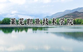 莱芜职业技术学院2024在山东录取分数线是多少？最低325分/最高493分