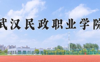 2025年武汉民政职业学院在河南计划招生人数（附学费及专业录取分)