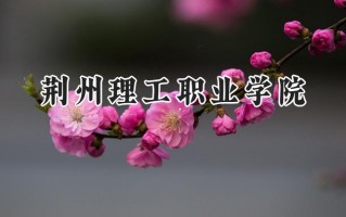 2024荆州理工职业学院录取分数线：陕西最低313分