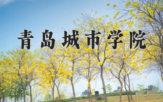 青岛城市学院王牌专业有哪些？附2025最新王牌专业排名一览表
