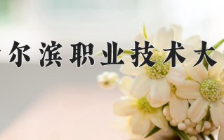 2025年哈尔滨职业技术大学在河北计划招生人数（附学费及专业录取分)