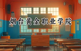 烟台黄金职业学院2024在山东录取分数线是多少？最低282分/最高329分