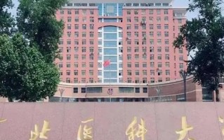 广东考生521分物理类能上什么大学？ 附2024年能上的院校名单
