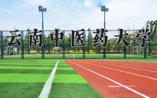 2025年云南中医药大学在四川计划招生人数（附学费及专业录取分)