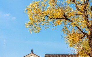 2025年湖南科技大学在广东计划招生人数（附学费及专业录取分）