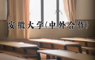 2025年安徽大学(中外合作)在重庆计划招生人数（附学费及专业录取分)