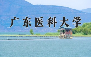 广东医科大学王牌专业有哪些？附2025最新王牌专业排名一览表