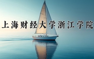 2025年上海财经大学浙江学院在河南计划招生人数（附学费及专业录取分)