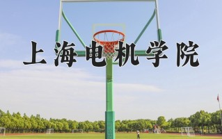 2025年上海电机学院在河南计划招生人数（附学费及专业录取分)