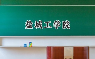 盐城工学院2024在江苏录取分数线是多少？最低493分/最高535分