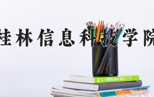 2025年桂林信息科技学院在河南计划招生人数（附学费及专业录取分)