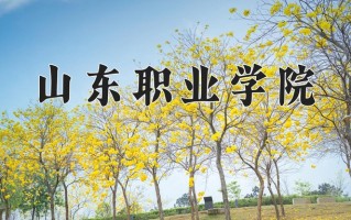 2025年山东职业学院在河南计划招生人数（附学费及专业录取分)