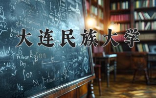 2025年大连民族大学在四川计划招生人数（附学费及专业录取分)