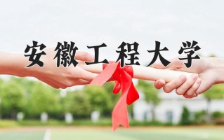 2025年安徽工程大学在四川计划招生人数（附学费及专业录取分)