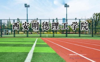 2024西安明德理工学院录取分数线：山西最低309分