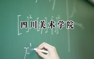 2024四川美术学院录取分数线：江苏最低502分