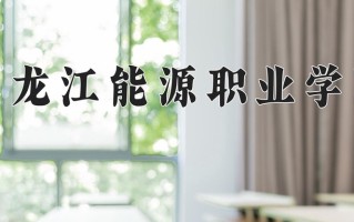 2025年黑龙江能源职业学院在河南计划招生人数（附学费及专业录取分)