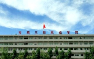 2024年宝鸡三和职业学院录取分数线，河北最低307分