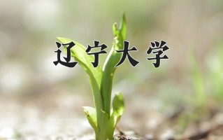 2025年辽宁大学在河南计划招生人数（附学费及专业录取分)