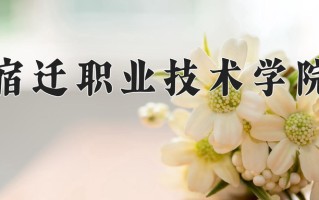 2025年宿迁职业技术学院在河南计划招生人数（附学费及专业录取分)