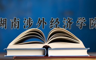 2025年湖南涉外经济学院在新疆计划招生人数（附学费及专业录取分)