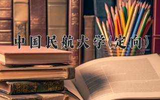 2024年中国民航大学(定向)录取分数线，新疆最低461分