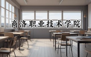 商洛职业技术学院2024在青海录取分数线是多少？最低278分/最高338分