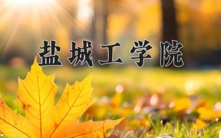 2025年盐城工学院在河南计划招生人数（附学费及专业录取分)