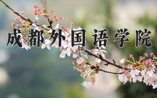 2025年成都外国语学院在新疆计划招生人数（附学费及专业录取分)