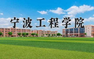 2025年宁波工程学院在新疆计划招生人数（附学费及专业录取分)