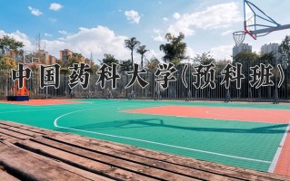2025年中国药科大学(预科班)在重庆计划招生人数（附学费及专业录取分)