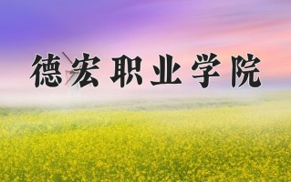 2025年德宏职业学院在河南计划招生人数（附学费及专业录取分)