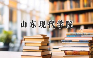 山东现代学院2024在青海录取分数线是多少？最低328分/最高392分