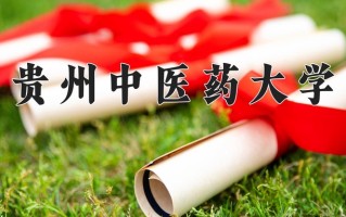 运动康复专业2025年广东招生院校有哪些？含学费及招生人数