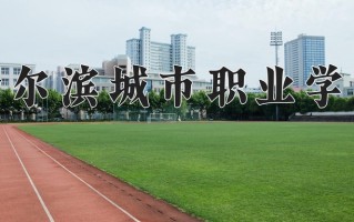 2025年哈尔滨城市职业学院在河南计划招生人数（附学费及专业录取分)