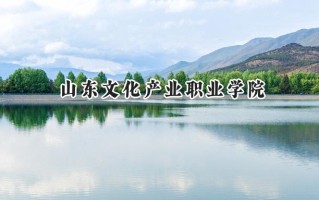 2024山东文化产业职业学院录取分数线：天津最低127分