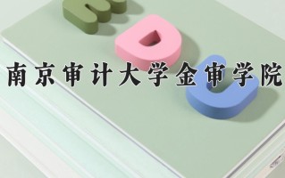 2025年南京审计大学金审学院在河南计划招生人数（附学费及专业录取分)