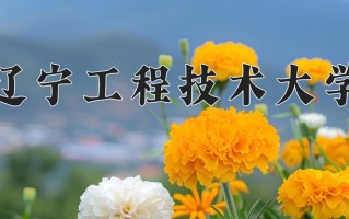2025年辽宁工程技术大学在河南计划招生人数（附学费及专业录取分)