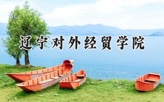 辽宁对外经贸学院2024在青海录取分数线是多少？最低325分/最高390分