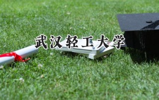 武汉轻工大学2024在浙江录取分数线是多少？最低489分/最高600分