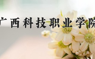 2025年广西科技职业学院在四川计划招生人数（附学费及专业录取分)
