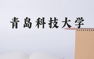 2025年青岛科技大学在河南计划招生人数（附学费及专业录取分)