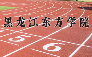 2025年黑龙江东方学院在四川计划招生人数（附学费及专业录取分)