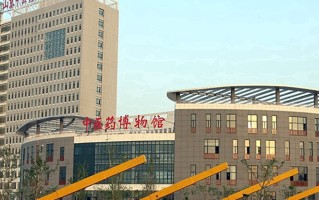 2024年山东中医药高等专科学校录取分数线，内蒙古最低315分