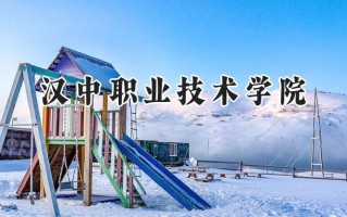 2024汉中职业技术学院录取分数线：陕西最低369分