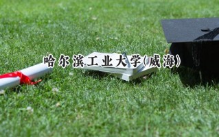哈尔滨工业大学(威海)2024在浙江录取分数线是多少？最低646分/最高662分