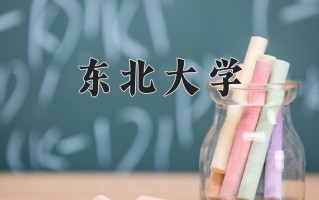 2025年东北大学在河南计划招生人数（附学费及专业录取分)